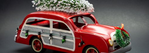 Tipps für den Weihnachtsbaumtransport mit dem Auto 